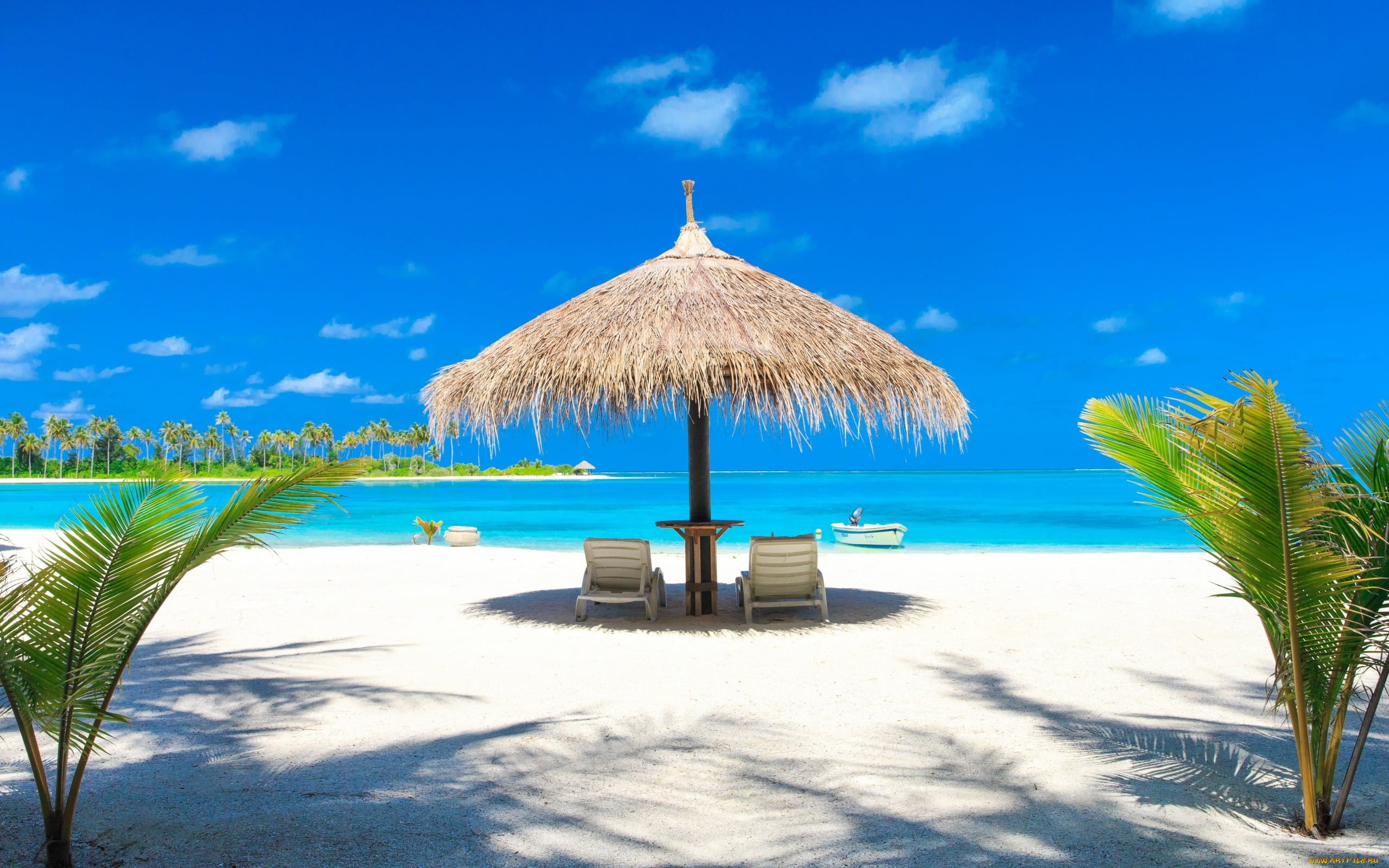 maldives, , 